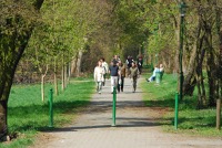 Wandern in und um Blankensee